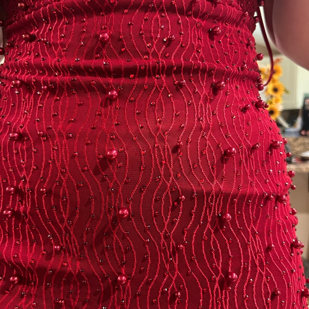 Red Windsor Dress